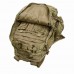 3-Day Assault Pack: *125